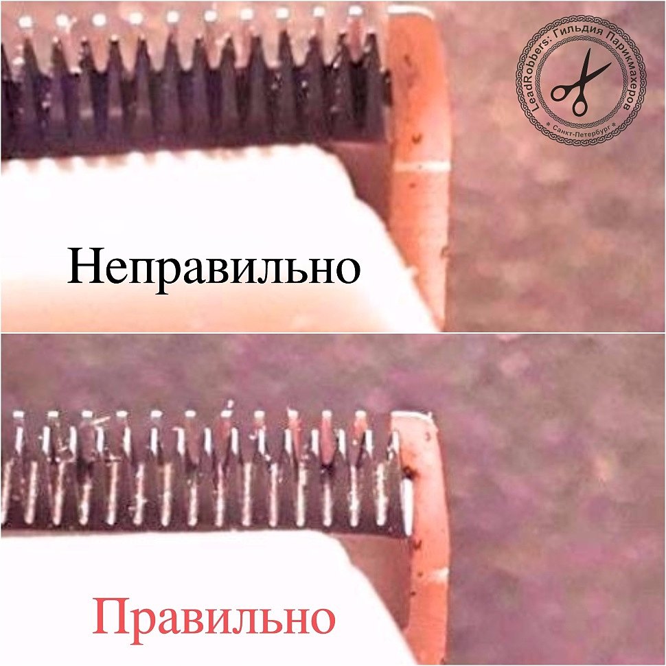 Заточка ножей для машинок — от 450 рублей
